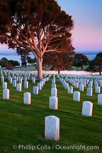 Fort Rosecrans National Cemetery. San Diego, California, USA, natural history stock photograph, photo id 26572