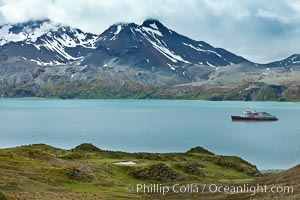 Fortuna Bay, South Georgia Island