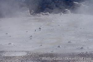 Fountain Paint Pot, a mud pot, boils and bubbles continuously.  It is composed of clay and fine silica.  Lower Geyser Basin, Yellowstone National Park, Wyoming