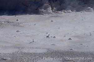 Fountain Paint Pot, a mud pot, boils and bubbles continuously.  It is composed of clay and fine silica.  Lower Geyser Basin, Yellowstone National Park, Wyoming