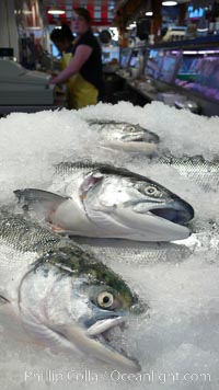 Fresh salmon on ice at the Public Market, Granville Island, Vancouver