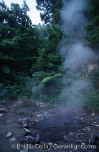 Fumeroles / steam vents / hot springs, Sao Miguel Island