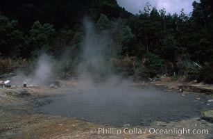 Fumeroles / steam vents / hot springs, Sao Miguel Island