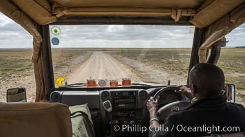 Game drive with safari guide, Amboseli National Park, Kenya