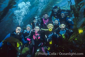 Divers in kelp forest, Macrocystis pyrifera, San Clemente Island