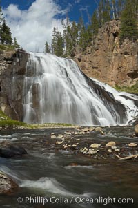 Gibbon Falls drops 80 feet through a deep canyon formed by the Gibbon River. Although visible from the road above, the best vantage point for viewing the falls is by hiking up the river itself, Yellowstone National Park, Wyoming