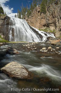 Gibbon Falls drops 80 feet through a deep canyon formed by the Gibbon River. Although visible from the road above, the best vantage point for viewing the falls is by hiking up the river itself, Yellowstone National Park, Wyoming