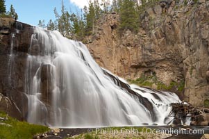 Gibbon Falls drops 80 feet through a deep canyon formed by the Gibbon River. Although visible from the road above, the best vantage point for viewing the falls is by hiking up the river itself, Yellowstone National Park, Wyoming