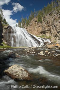 Gibbon Falls drops 80 feet through a deep canyon formed by the Gibbon River. Although visible from the road above, the best vantage point for viewing the falls is by hiking up the river itself, Yellowstone National Park, Wyoming