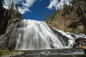 Gibbon Falls drops 80 feet through a deep canyon formed by the Gibbon River. Although visible from the road above, the best vantage point for viewing the falls is by hiking up the river itself, Yellowstone National Park, Wyoming