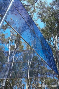 The Giraffe Traps, or what is officially known as Two Running Violet V Forms, was the second piece in the Stuart Collection at University of California San Diego (UCSD).  Commissioned in 1983 and produced by Robert Irwin, the odd fence resides in the eucalyptus grove between Mandeville Auditorium and Central Library, University of California, San Diego, La Jolla