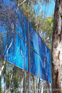 The Giraffe Traps, or what is officially known as Two Running Violet V Forms, was the second piece in the Stuart Collection at University of California San Diego (UCSD).  Commissioned in 1983 and produced by Robert Irwin, the odd fence resides in the eucalyptus grove between Mandeville Auditorium and Central Library, University of California, San Diego, La Jolla