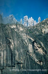 Glacier Point and trees, Yosemite National Park, California