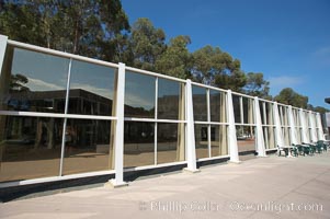 Glass structure and eucalyptus trees, Mandell Weiss Forum, University of California San Diego, UCSD