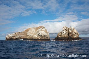 Gordon Rocks, a spectacular dive site near South Plaza Island