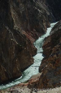 The Yellowstone River flows through the Grand Canyon of the Yellowstone, late afternoon looking west from Lookout Point, Yellowstone National Park, Wyoming