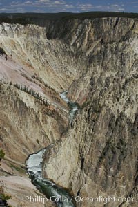 The Yellowstone River flows through the Grand Canyon of the Yellowstone, late afternoon looking east from Inspiration Point, Yellowstone National Park, Wyoming