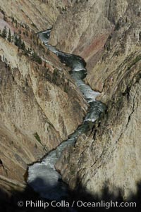 The Yellowstone River flows through the Grand Canyon of the Yellowstone, late afternoon looking east from Inspiration Point, Yellowstone National Park, Wyoming