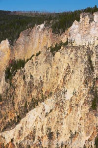 The sheer walls of the Grand Canyon of the Yellowstone take on a variety of yellow, red and orange hues due to iron oxidation in the soil and, to a lesser degree, sulfur content, Yellowstone National Park, Wyoming