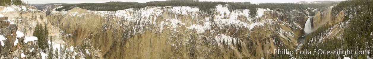 Image 22451, Grand Canyon of the Yellowstone, panorama, from Lookout Point, winter, a composite of 7 individual photographs. Yellowstone National Park, Wyoming, USA, Phillip Colla, all rights reserved worldwide. Keywords: environment, grand canyon of the yellowstone, landscape, national parks, nature, outdoors, outside, panorama, panoramic photo, scene, scenery, scenic, usa, world heritage sites, wyoming, yellowstone, yellowstone national park.