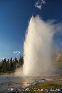 Grand Geyser erupts at sunset. Grand Geyser is a fountain-type geyser reaching 200 feet in height and lasting up to 12 minutes.  Grand Geyser is considered the tallest predictable geyser in the world, erupting about every 12 hours.  It is often accompanied by burst or eruptions from Vent Geyser and Turban Geyser just to its left.  Upper Geyser Basin, Yellowstone National Park, Wyoming