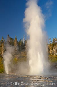 Grand Geyser erupts (right) with a simultaneous eruption from Vent Geyser (left).  Grand Geyser is a fountain-type geyser reaching 200 feet in height and lasting up to 12 minutes.  Grand Geyser is considered the tallest predictable geyser in the world, erupting about every 12 hours.  It is often accompanied by burst or eruptions from Vent Geyser and Turban Geyser just to its left.  Upper Geyser Basin, Yellowstone National Park, Wyoming