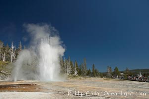 A crowd admires a simultaneous eruption of Grand Geyser (right) with Vent Geyser (left).  Grand Geyser is a fountain-type geyser reaching 200 feet in height and lasting up to 12 minutes.  Grand Geyser is considered the tallest predictable geyser in the world, erupting about every 12 hours.  It is often accompanied by burst or eruptions from Vent Geyser and Turban Geyser just to its left.  Upper Geyser Basin, Yellowstone National Park, Wyoming