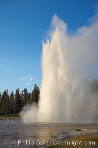 Grand Geyser erupts at sunset. Grand Geyser is a fountain-type geyser reaching 200 feet in height and lasting up to 12 minutes.  Grand Geyser is considered the tallest predictable geyser in the world, erupting about every 12 hours.  It is often accompanied by burst or eruptions from Vent Geyser and Turban Geyser just to its left.  Upper Geyser Basin, Yellowstone National Park, Wyoming