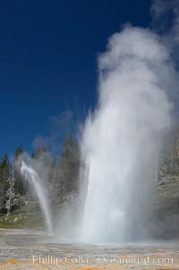 Grand Geyser erupts (right) with a simultaneous eruption from Vent Geyser (left).  Grand Geyser is a fountain-type geyser reaching 200 feet in height and lasting up to 12 minutes.  Grand Geyser is considered the tallest predictable geyser in the world, erupting about every 12 hours.  It is often accompanied by burst or eruptions from Vent Geyser and Turban Geyser just to its left.  Upper Geyser Basin.