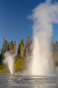 Grand Geyser erupts (right) with a simultaneous eruption from Vent Geyser (left).  Grand Geyser is a fountain-type geyser reaching 200 feet in height and lasting up to 12 minutes.  Grand Geyser is considered the tallest predictable geyser in the world, erupting about every 12 hours.  It is often accompanied by burst or eruptions from Vent Geyser and Turban Geyser just to its left.  Upper Geyser Basin, Yellowstone National Park, Wyoming