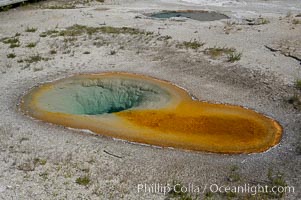 Belgian Spring, near the Grand Group, Upper Geyser Basin, Yellowstone National Park, Wyoming