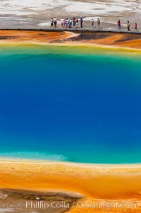 Grand Prismatic Spring displays a stunning rainbow of colors created by species of thermophilac (heat-loving) bacteria that thrive in narrow temperature ranges.  The blue water in the center is too hot to support any bacterial life, while the outer orange rings are the coolest water.  Grand Prismatic Spring is the largest spring in the United States and the third-largest in the world.  Midway Geyser Basin, Yellowstone National Park, Wyoming