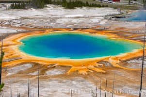 Grand Prismatic Spring (left) and Excelsior Geyser (right).  Grand Prismatic Spring displays a stunning rainbow of colors created by species of thermophilac (heat-loving) bacteria that thrive in narrow temperature ranges.  The blue water in the center is too hot to support any bacterial life, while the outer orange rings are the coolest water.  Grand Prismatic Spring is the largest spring in the United States and the third-largest in the world.  Midway Geyser Basin, Yellowstone National Park, Wyoming