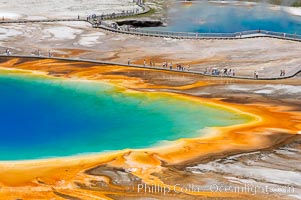 Grand Prismatic Spring displays a stunning rainbow of colors created by species of thermophilac (heat-loving) bacteria that thrive in narrow temperature ranges.  The blue water in the center is too hot to support any bacterial life, while the outer orange rings are the coolest water.  Grand Prismatic Spring is the largest spring in the United States and the third-largest in the world.  Midway Geyser Basin, Yellowstone National Park, Wyoming