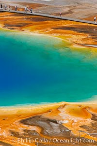 Grand Prismatic Spring displays a stunning rainbow of colors created by species of thermophilac (heat-loving) bacteria that thrive in narrow temperature ranges.  The blue water in the center is too hot to support any bacterial life, while the outer orange rings are the coolest water.  Grand Prismatic Spring is the largest spring in the United States and the third-largest in the world.  Midway Geyser Basin, Yellowstone National Park, Wyoming