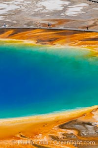 Grand Prismatic Spring displays a stunning rainbow of colors created by species of thermophilac (heat-loving) bacteria that thrive in narrow temperature ranges.  The blue water in the center is too hot to support any bacterial life, while the outer orange rings are the coolest water.  Grand Prismatic Spring is the largest spring in the United States and the third-largest in the world.  Midway Geyser Basin. Yellowstone National Park, Wyoming, USA, natural history stock photograph, photo id 13585