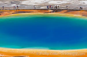 Grand Prismatic Spring displays a stunning rainbow of colors created by species of thermophilac (heat-loving) bacteria that thrive in narrow temperature ranges.  The blue water in the center is too hot to support any bacterial life, while the outer orange rings are the coolest water.  Grand Prismatic Spring is the largest spring in the United States and the third-largest in the world.  Midway Geyser Basin, Yellowstone National Park, Wyoming