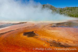 Grand Prismatic Spring displays brilliant colors along its edges, created by species of thermophilac (heat-loving) bacteria that thrive in narrow temperature ranges.  The outer orange and red regions are the coolest water in the spring, where the overflow runs off.  Midway Geyser Basin.