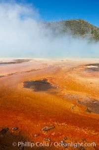 Grand Prismatic Spring displays brilliant colors along its edges, created by species of thermophilac (heat-loving) bacteria that thrive in narrow temperature ranges.  The outer orange and red regions are the coolest water in the spring, where the overflow runs off.  Midway Geyser Basin, Yellowstone National Park, Wyoming