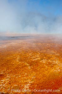 Grand Prismatic Spring displays brilliant colors along its edges, created by species of thermophilac (heat-loving) bacteria that thrive in narrow temperature ranges.  The outer orange and red regions are the coolest water in the spring, where the overflow runs off.  Midway Geyser Basin, Yellowstone National Park, Wyoming