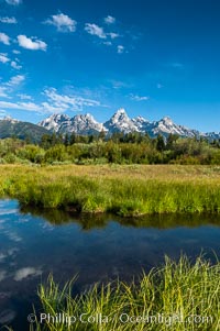 The Teton Range is reflected in a calm sidewater of the Snake River near Blacktail Ponds, summer, Grand Teton National Park, Wyoming