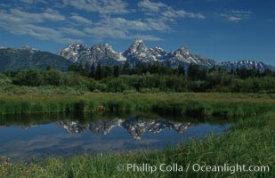 The Teton Range is reflected in a calm sidewater of the Snake River near Blacktail Ponds, summer, Grand Teton National Park, Wyoming