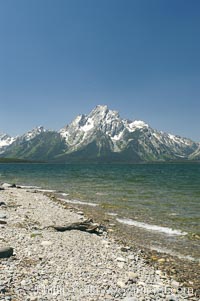 Driftwood along the shoreline of Jackson Lake with Mount Moran in the background, Grand Teton National Park, Wyoming