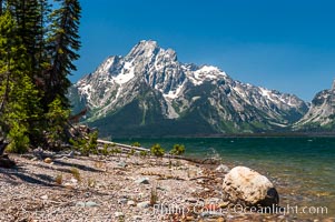 Driftwood along the shoreline of Jackson Lake with Mount Moran in the background, Grand Teton National Park, Wyoming