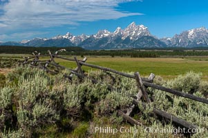 Buck and rail fence, Grand Teton National Park, Wyoming