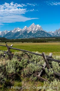 Buck and rail fence, Grand Teton National Park, Wyoming