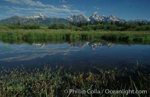 The Teton Range is reflected in a calm sidewater of the Snake River near Blacktail Ponds, summer, Grand Teton National Park, Wyoming