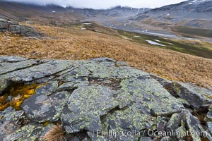 Grassy windy highlands and rocks, overlooking alluvial floodplain formed by glacier runoff near Stromness Bay, Stromness Harbour