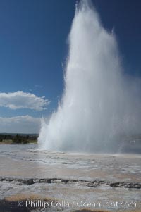 Great Fountain Geyser erupting.  Great Fountain Geyser, a fountain-type geyser, can reach heights of 200 feet, one of the largest geysers in the world.  It has a large vent (16 feet across) situated amid wide sinter terraces that act as reflecting pools as the geyser slows fills prior to its eruption.  Its interval and duration vary widely.  It typically erupts in a series of bursts, each separately by a few minutes.  Firehole Lake Drive, Lower Geyser Basin, Yellowstone National Park, Wyoming