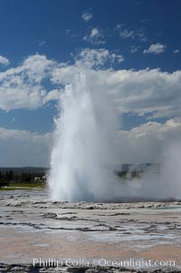 Great Fountain Geyser erupting.  Great Fountain Geyser, a fountain-type geyser, can reach heights of 200 feet, one of the largest geysers in the world.  It has a large vent (16 feet across) situated amid wide sinter terraces that act as reflecting pools as the geyser slows fills prior to its eruption.  Its interval and duration vary widely.  It typically erupts in a series of bursts, each separately by a few minutes.  Firehole Lake Drive, Lower Geyser Basin, Yellowstone National Park, Wyoming